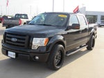 2010 Ford F-150 FX2